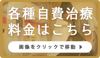 各種自費治療料金